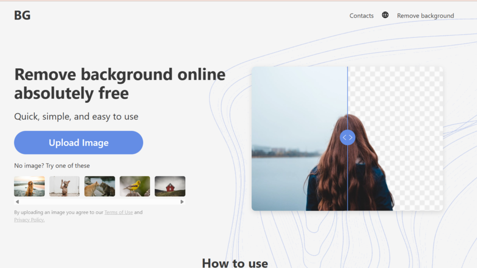 Background Remover