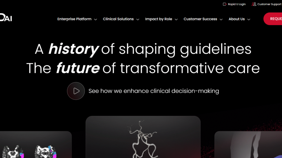 RapidAI