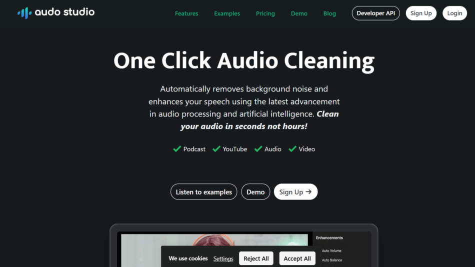 19 - Hero section of Audo Studio: dark background, logo top-left with navigation, large 'One Click Audio Cleaning' headline and descriptive subtitle, plus checkmarks for Podcast, YouTube, Audio, Video and three rounded CTA buttons: Listen to examples, Demo, Sign Up.