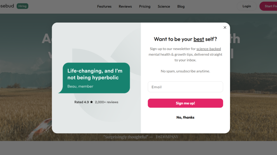 Modal signup overlay on a landscape hero image: left shows a teal speech-bubble ad with 'Life-changing, and I’m not being hyperbolic' and rating; right side invites newsletter signup with 'Want to be your best self?', email field, and pink 'Sign me up!' button, with a close icon and dimmed background.