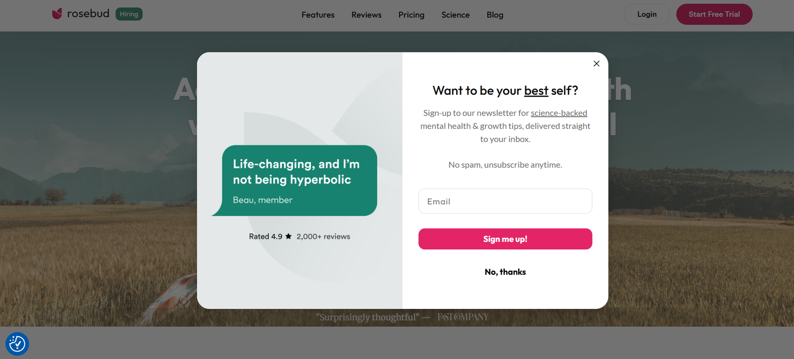 24 - Modal signup overlay on a landscape hero image: left shows a teal speech-bubble ad with 'Life-changing, and I’m not being hyperbolic' and rating; right side invites newsletter signup with 'Want to be your best self?', email field, and pink 'Sign me up!' button, with a close icon and dimmed background.