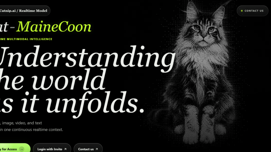 Dark hero banner for Catnip.ai featuring 'Cat-MaineCoon' headline, a large 'Understanding the world as it unfolds' tagline, and a right-side illustrated cat.