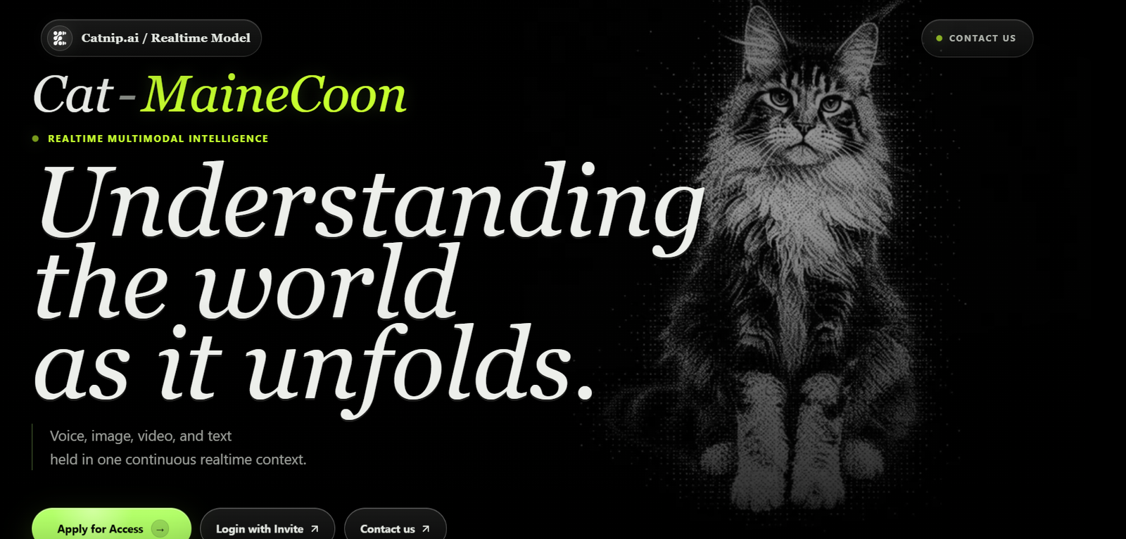 81 - Dark hero banner for Catnip.ai featuring 'Cat-MaineCoon' headline, a large 'Understanding the world as it unfolds' tagline, and a right-side illustrated cat.