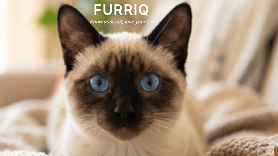 Furriq